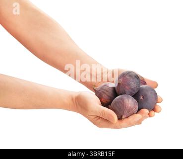 figs in hand path isolated on white Stock Photo