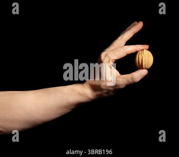 walnut shaped cookies in hand on black background Stock Photo