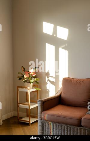 Variegated plant on stand beside wicker sofa, sunlight casting windowpane shadow on wall Stock Photo