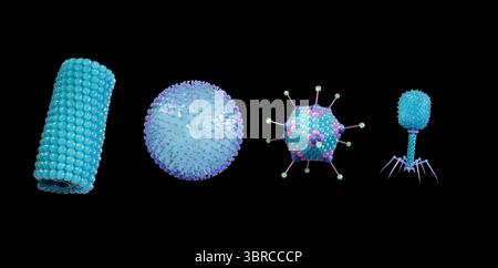 Illustration of virus types by shape. From left to right they are ...