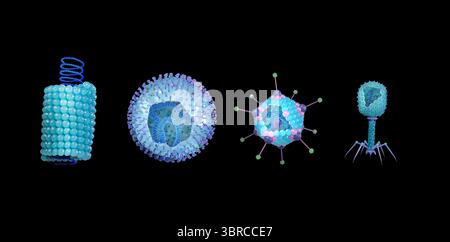Illustration of virus types by shape. From left to right they are ...