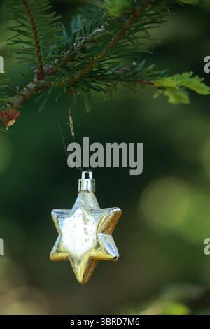 A gold star ornament hangs from a tree branch Stock Photo - Alamy