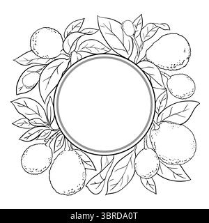 Avocado Branch Outline Round Frame. Stock Vector