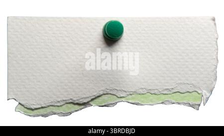 White and green watercolour paper with push pin on white background with clipping path. Old paper reused as a memo. Stock Photo
