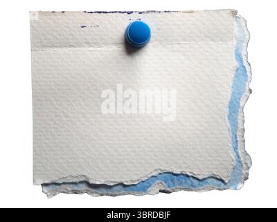 White and blue watercolour paper with push pin on white background with clipping path. Old paper reused as a memo. Stock Photo