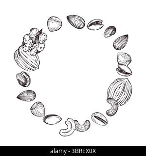 Vector illustration of nuts, walnuts, pistachios, almonds, hazelnuts, cashews. All objects are hand-drawn in vector. For printing on nut packaging Stock Vector