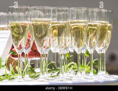 Champagne or sparkling white wine flutes with bubbles on the table during an outdoor party under the sun with strawberries in the background Stock Photo