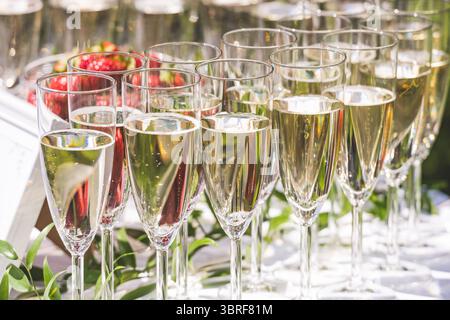 Champagne or sparkling white wine flutes with bubbles on the table during an outdoor party under the sun with strawberries in the background Stock Photo