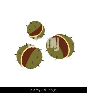 Horse chestnut fruits. Stylized vector illustration in flat style. Botanical autumn illustration for autumn decor, packaging or botanical patterns Stock Vector