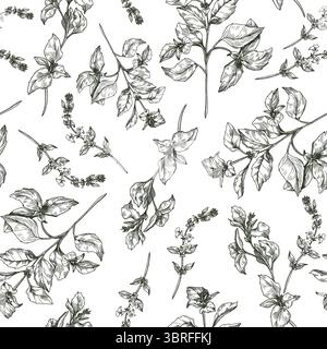 Basil herbs with sprigs and flowering top stems black and white outline vector seamless pattern. Green garden herbs, basil plants hand drawn repeat Stock Vector