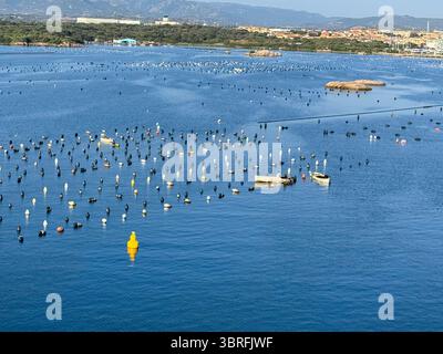 Floting Farm Aerial view of an oyster farm with a small boat navigating between rows ...
