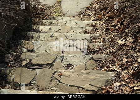 Weathered stone steps lead downward through fallen leaves and quietness. Stock Photo