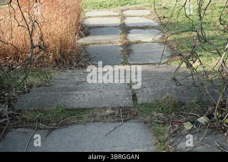 A winding stone pathway leads through lush grass and dry foliage. Stock Photo