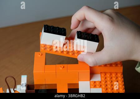 Engaging in a hands-on creative project using orange building blocks. Stock Photo