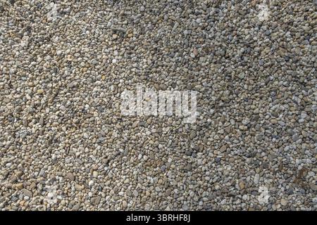 Small pebbles as garden path, background image, texture, Netherlands Stock Photo