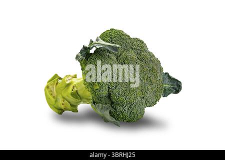 Raw fresh single broccoli isolated on white background with clipping path Stock Photo