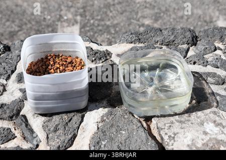 Plastic bowls, one filled with pet food, the other with water, provide essential sustenance for animals. Recycled containers used to hold pet food Stock Photo