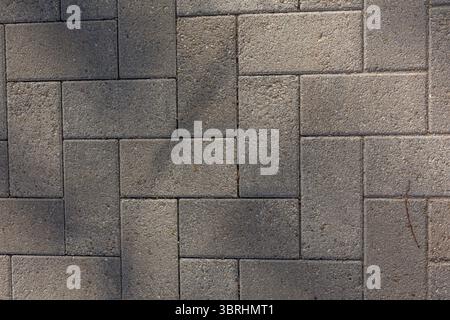 Small twig lies on interlocking rectangular pavers forming herringbone pattern in brick walkway. Subtle shadows create play of light on surface. Stock Photo
