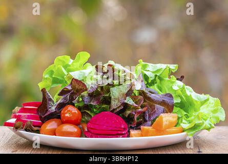 Closeup view of fresh raw green oak lettuce with slice of red radish, cherry tomatoes, slice of beetroot and pieces of carrot pile into white ceramic Stock Photo