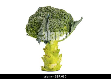 Side view of single fresh broccoli isolated on white background with clipping path Stock Photo