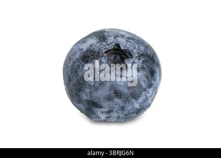 High angle view single ripe delicious blueberry isolated on white background with clipping path Stock Photo