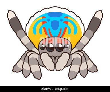 Cute cartoon male peacock spider doing courtship display dance. Kawaii spider character drawing, isolated vector illustration. Stock Vector