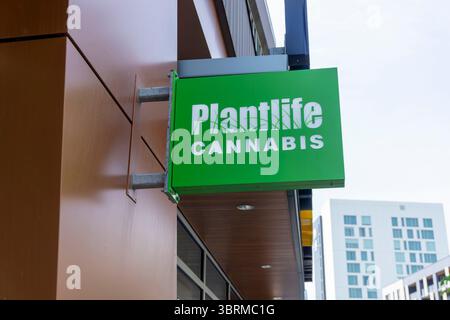 CALGARY, CANADA - JUNE 10, 2025: Sign of Plantlife Cannabis at University District in Calgary. Plantlife Cannabis is an Alberta-owned company selling Stock Photo