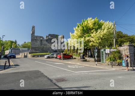Cong Abbey Ruins In Cong, County Mayo, Ireland, Also Known As Royal Abbey of Cong An Augustinian Abbey, Stock Photo Stock Photo