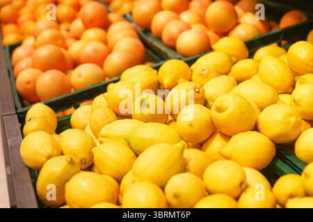 Fresh lemons at fruit market. Yellow citrus fruits on display in grocery. Juicy vitamin C source. Natural organic produce. Healthy lifestyle concept. Stock Photo