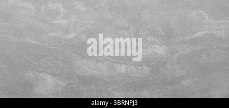 Abstract white gray wide fine textured background for web banner template page design Stock Photo