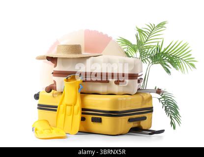 Suitcase with inflatable ring, houseplant and beach accessories isolated on white background Stock Photo