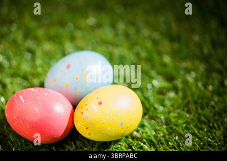 Easter eggs on grass in garden Stock Photo