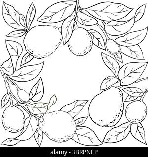 Avocado Branch with Fruits Outline Frame. Stock Vector