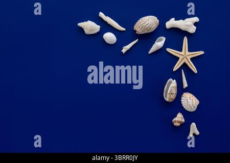 variety of sea shells and starfish border isolated on blue background, Coastal background with blank space for copy text or photo Stock Photo