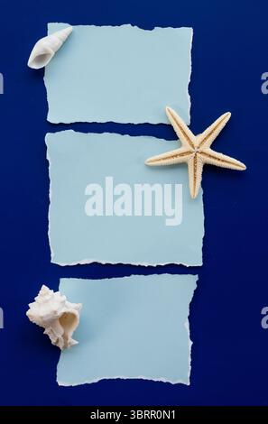torn blue paper label with seashells isolated on dark background, blank paper with seashells border, aesthetic coastal background with blank space Stock Photo