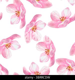 Seamless pattern with blooming pink spring flower isolated on white. Apricot, cherry, pear,almond, apple, peach flowers. Hand drawn watercolor flowers Stock Photo