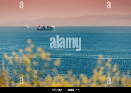 Container ships navigating calm ocean waters under a pink sunset sky, with blurred yellow flowers in the foreground, creating a serene maritime scene Stock Photo