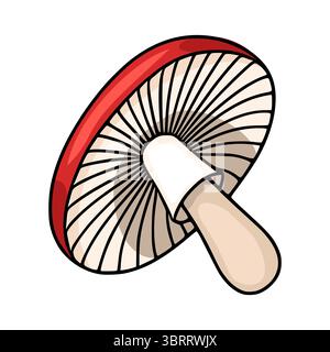 A whimsical vector illustration of a single amanita mushroom, showcasing a vibrant red cap with detailed gills and a creamy beige stem, rendered in a Stock Vector