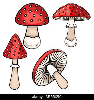 A set of four vector illustrations of fly agaric mushrooms in various perspectives, showcasing their distinctive red caps with white spots and detaile Stock Vector
