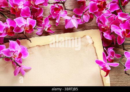 Beautiful pink orchid flowers and vintage sheets of paper retro style Stock Photo