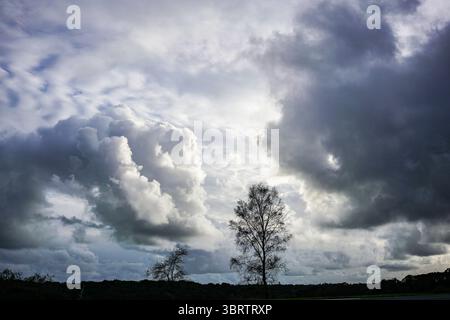 Clouds over the New Forest Stock Photo