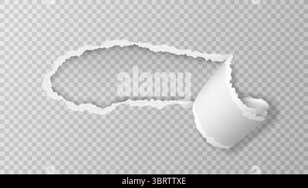 Realistic torn and twisted paper strip isolated on light background. Vector illustration. Stock Vector