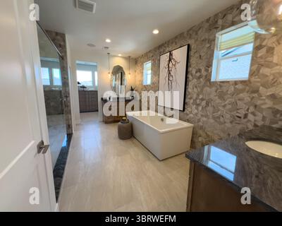 Modern Master Bathroom with Freestanding Tub Stock Photo