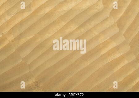 Detailed texture of a carved warm golden metal surface, creating an abstract background with diagonal wavy stripes and a soft play of light and shadow Stock Photo