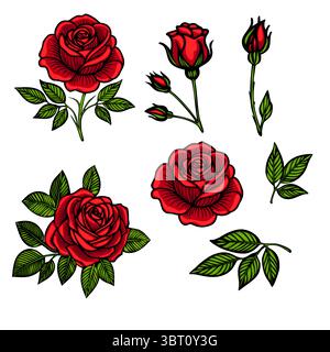 A collection of vector red roses in various stages of bloom, featuring detailed leaves. The design includes fully bloomed roses, buds, and leaves, sho Stock Vector