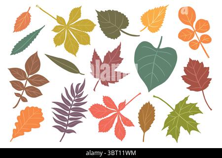 Autumn falling leaves isolated on white background. Vector set illustration with willow, alder, maple, chestnut, oak, lilac and other. Stock Vector