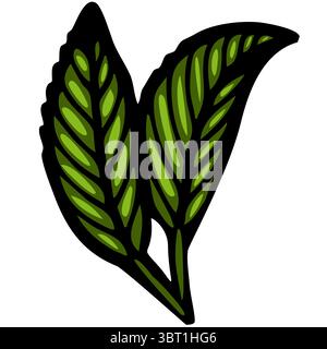 A vector stylized illustration of two green leaves with detailed veins, set against a white background. The leaves are vibrant and glossy, showcasing Stock Vector