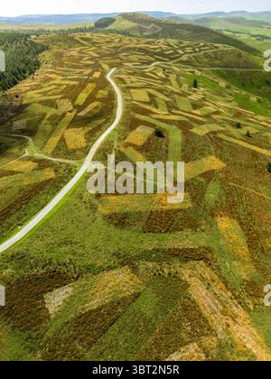 Aerial view shows winding path through green, rocky terrain. Vehicles