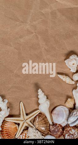Beach themed composition with seashells and copy space on beige background Stock Photo