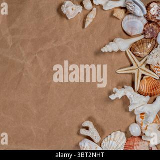 Beach themed composition with seashells and copy space on beige background Stock Photo
